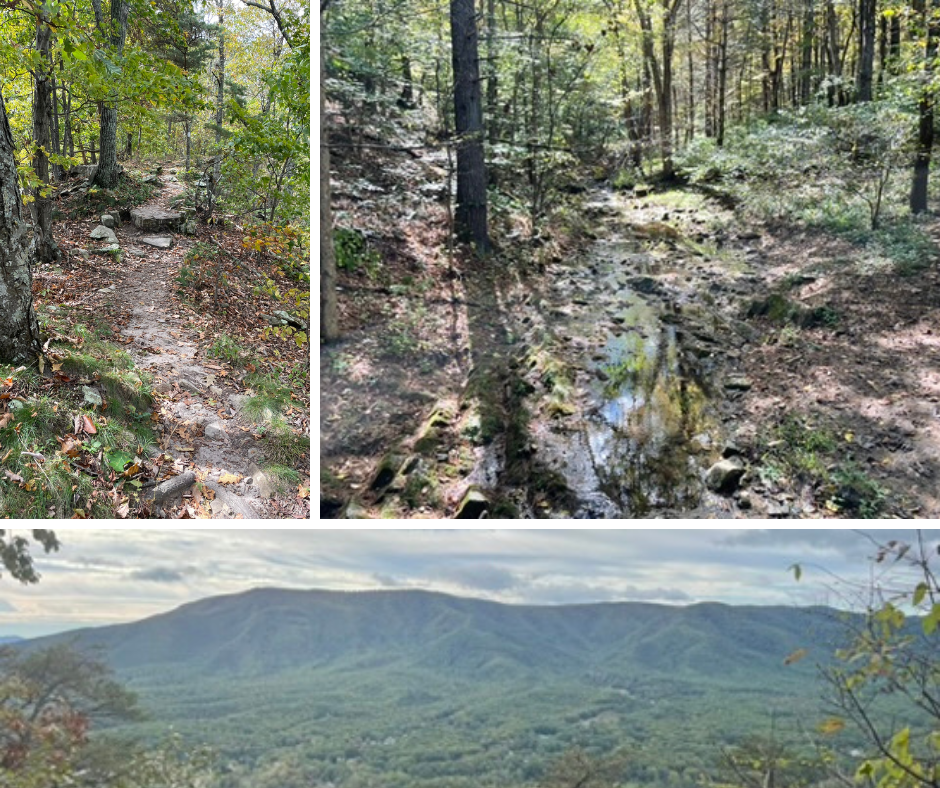 2026 Backpacking Medicine on the AT